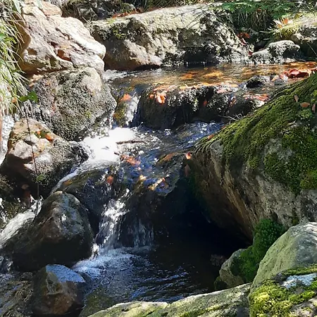 Anno - Wohlfuehlplatzal In Da Mauth
