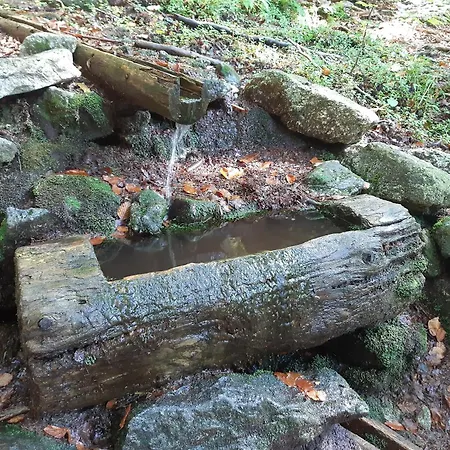 Anno - Wohlfuehlplatzal In Da 펜션